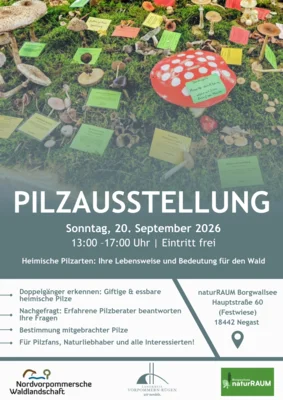 Pilzausstellung in Negast