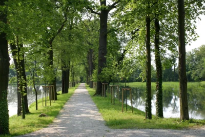 Blick in den Gutspark Saßleben mit den Teichen. Foto: Archiv