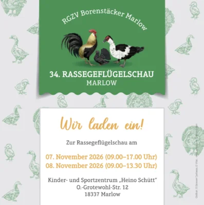 Veranstaltung: Rassegefl&uuml;gelschau in Marlow 07. – 08.11.2026