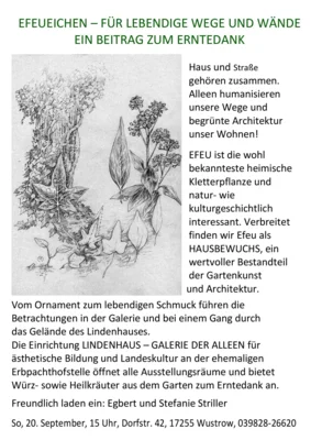 Foto zur Veranstaltung