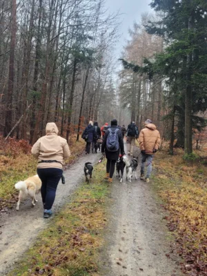 Hundewanderung 2025 (Bild vergr&ouml;&szlig;ern)