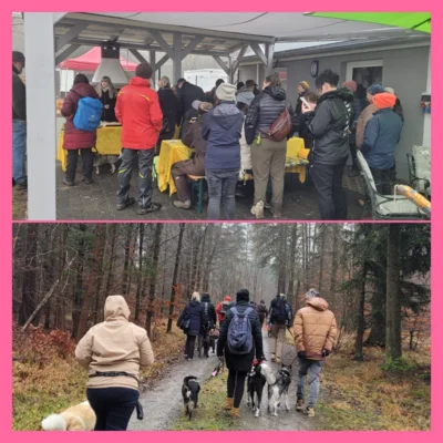 Hundewanderung 2025 (Bild vergr&ouml;&szlig;ern)