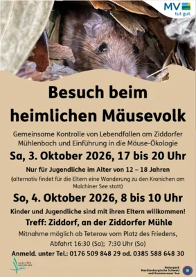 Foto zur Veranstaltung