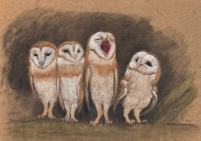 Sonderausstellung - Vertraute Tiere unserer Wälder