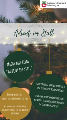Advent im Stall - jetzt mitmachen