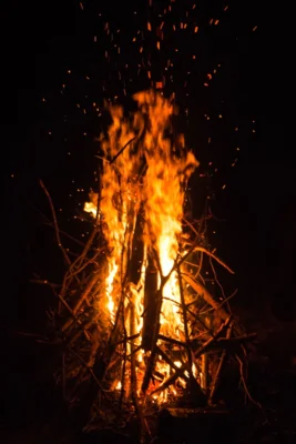 Foto von Codrin Rusu / pexels.com