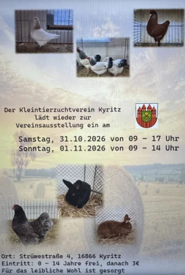 Foto zur Veranstaltung