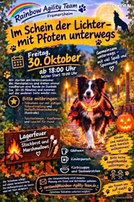 Flyer: Im Schein der Lichter - mit Pfoten unterwegs (Bild vergr&ouml;&szlig;ern)