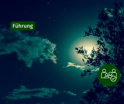 Bildung eines nächtlichen Himmels (Bild vergr&ouml;&szlig;ern)