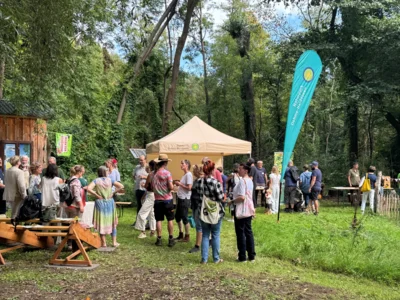 Hoffest Insektenparadiesgarten