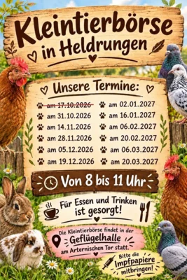 Terminplan 10/2026 bis 03/2027