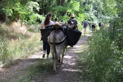 Eselwanderung in den Glauer Bergen
