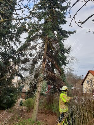 Foto vom Album: