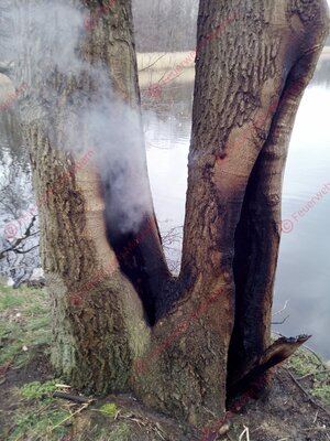 Foto vom Album: