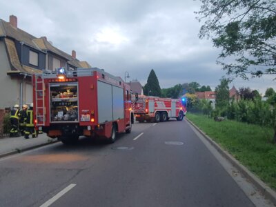 Vorschaubild