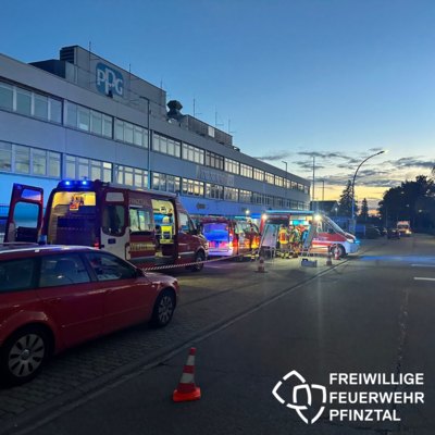 Foto vom Album: