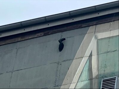 Vorschaubild
