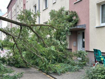 Vorschaubild