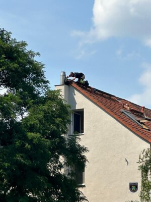 TH1: Katze auf Dach