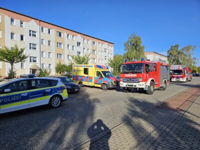 Vorschaubild