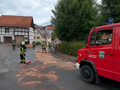 Foto vom Album: