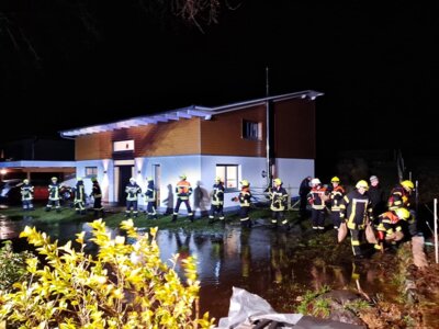  Foto vom Album: 