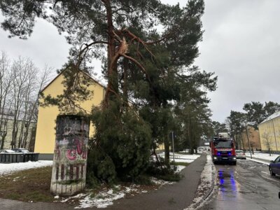 Vorschaubild