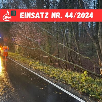 Vorschaubild