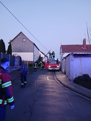 Foto vom Album: