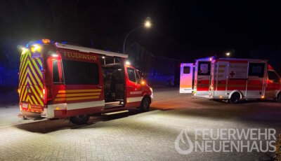 Foto vom Album:
