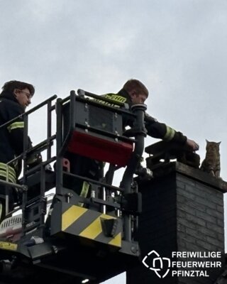 Foto vom Album: