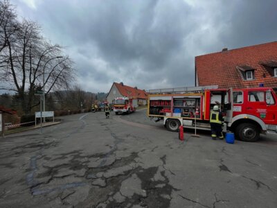 Foto vom Album: