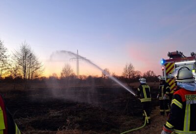 Foto vom Album: