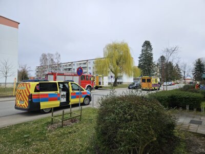 Vorschaubild