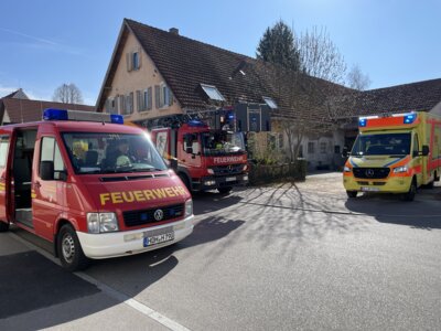 Foto vom Album: