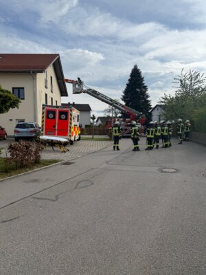  Foto vom Album: 