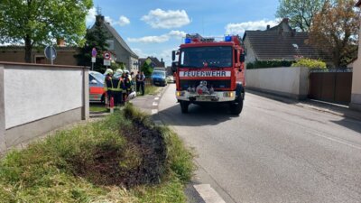 Vorschaubild