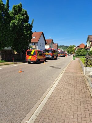 Foto vom Album: