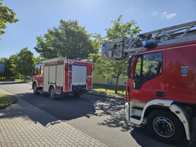 Foto vom Album: