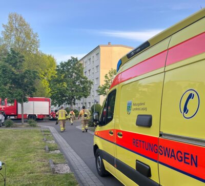 TH1: Tragehilfe