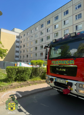  Foto vom Album: 