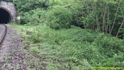 Ansicht der Einsatzstelle