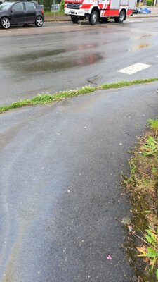 Foto vom Album: