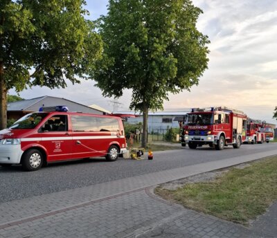 Vorschaubild