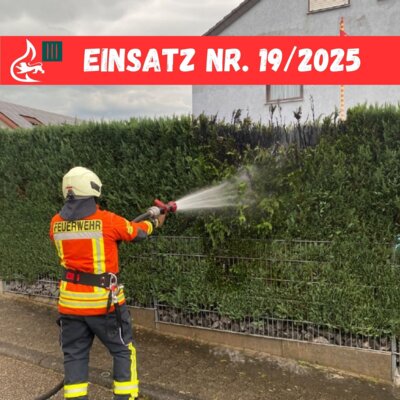  Foto vom Album: 
