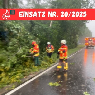 Foto vom Album: