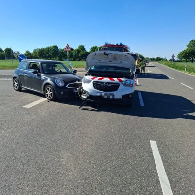 Foto vom Album: