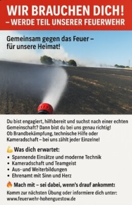 Foto vom Album: