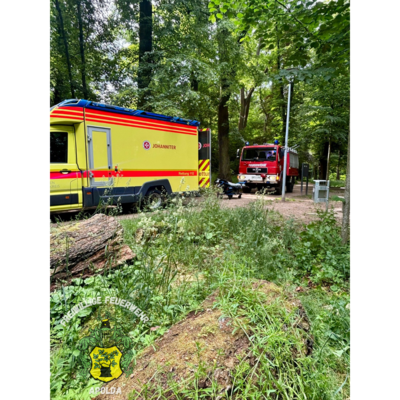 Foto vom Album: 
