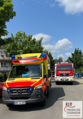 Foto vom Album: